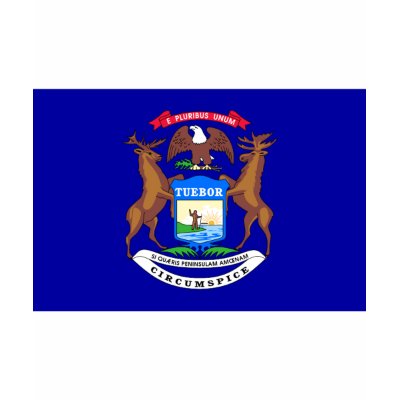 Michigan FLAG International Shirts by flagshirt