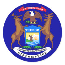 Michigan Flag stickers
