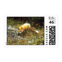 Michigan Fox Postage Stamp