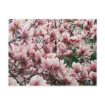 pink, flower, flowering, magnolia, tree