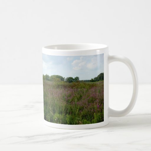 Michigan marsh mug