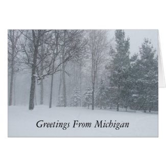 Michigan MI Winter Snow On The Trees Scene
