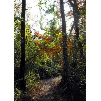 Michigan Park Entrance card
