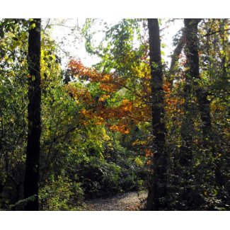 Michigan Park Entrance mousepad