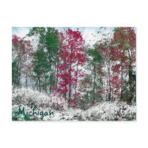Michigan postcards