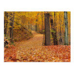 Michigan Trails postcards