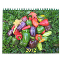 Michigan Treasures 2012 Calendar