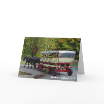 michigan_trip 024, Mackinac Island, MI Greeting Card