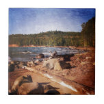 Michigan Upper Peninsula Shoreline Tile