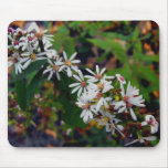 Michigan Wildflowers Mouse Pads