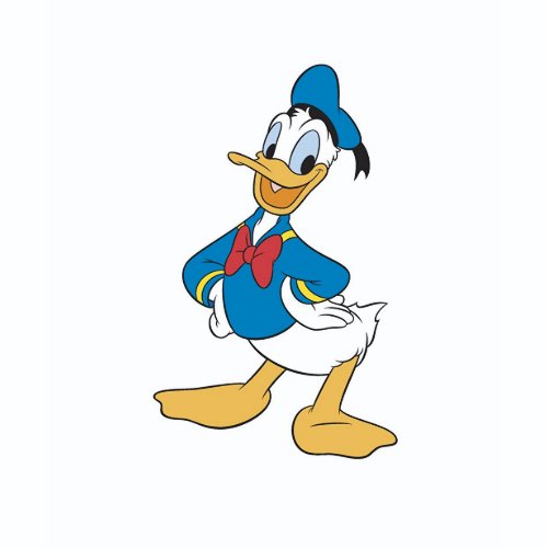 Mickey & Friends Donald Duck shirt