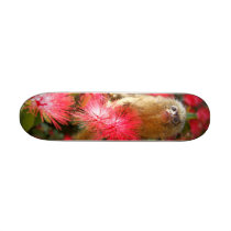 Mico the Mighty Scateboard Skate Deck
