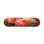 Mico the Mighty Scateboard Skate Deck