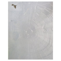 Micrathena Web & Spider Letterhead