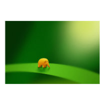 Micro Animals - Elephant posters