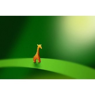 Micro Animals Giraffe Poster