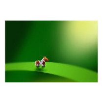 Micro Animals - Horse posters