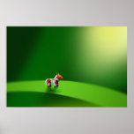 Micro Animals - Horse posters
