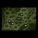 Microbes