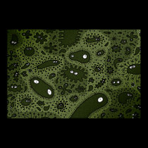 Microbes