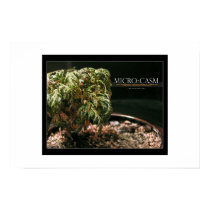 Microcosm posters by smellkid Microcosm posters