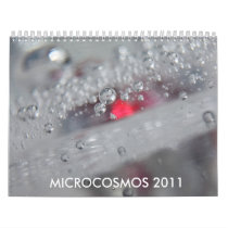 MICROCOSMOS 2011 CALENDAR