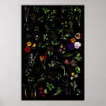 Microgreens Posters