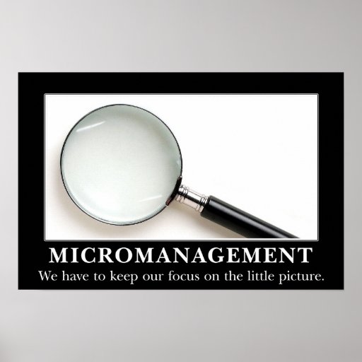 Micromanagement is a successful strategy (L) Poster | Zazzle