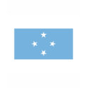 Micronesia FLAG International shirt