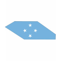 Micronesia flag map t-shirts