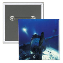 Micronesia, Palau, World Heritage Site. Divers Pinback Button