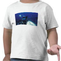 Micronesia, Palau, World Heritage Site. Divers Tee Shirt