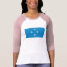 Ladies 3/4 Sleeve Raglan (Fitted)