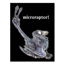 Microraptor Postcard postcards