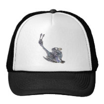 Microraptor hats