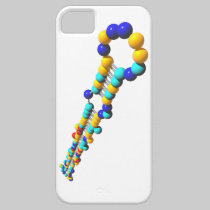 MicroRNA casemate cases