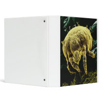 Microscopic Arthropod Acari Mite Lorryia Formosa 3 Ring Binder