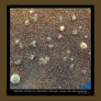 Microscopic View of Martian Soil