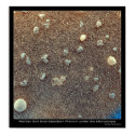 Microscopic View of Martian Soil posters