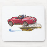 MiD LiFe PeNgUiN Mouse Pads