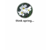 mid-spring floral selections tees
