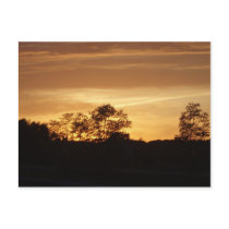 Mid summer's eve postcards