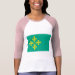 Ladies 3/4 Sleeve Raglan (Fitted)