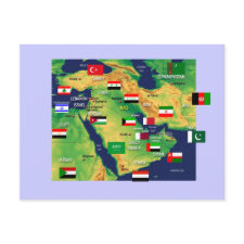 Middle-East t-shirts