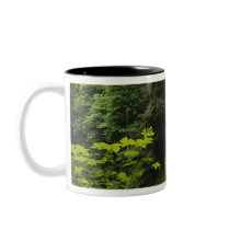Middle North falls, Silver Falls State Park, Coffee Mug