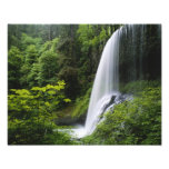 Middle North falls, Silver Falls State Park,