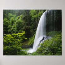 Middle North falls, Silver Falls State Park,