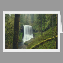 Middle-North Silver Falls cards