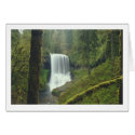 Middle-North Silver Falls cards