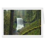Middle-North Silver Falls cards